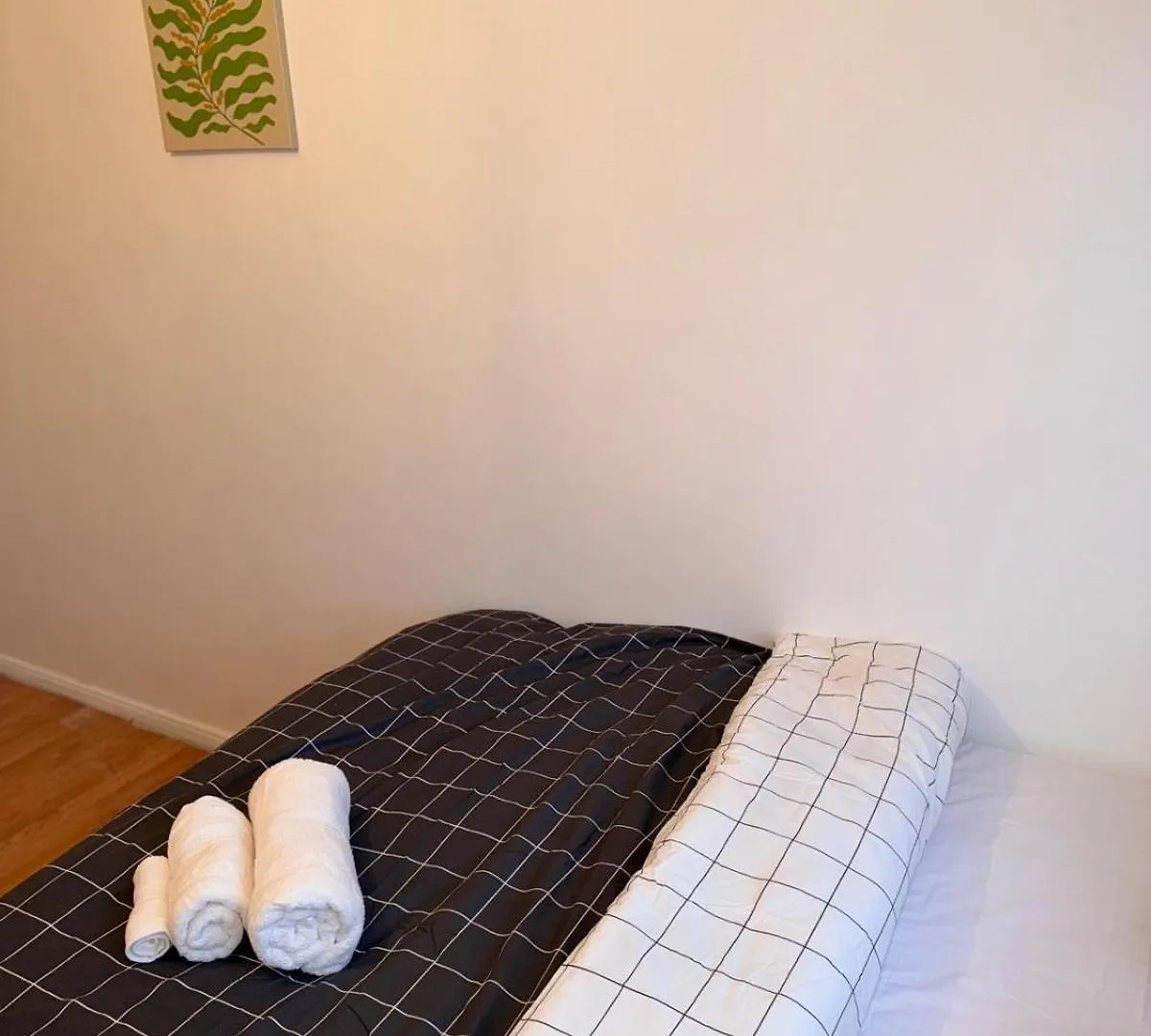 Homestay Harmon House Apartment London
