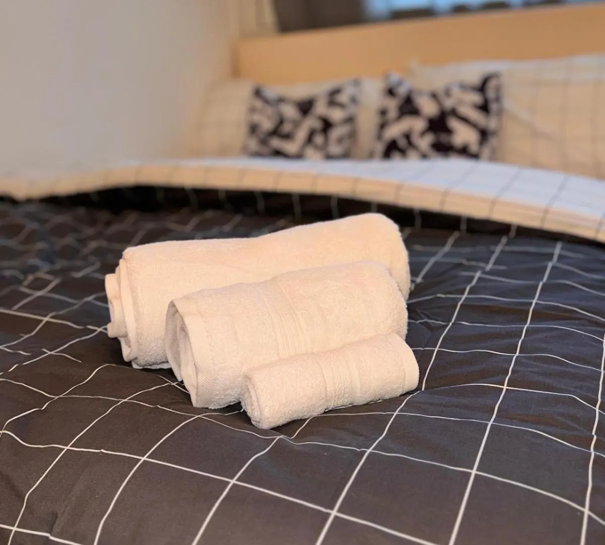 Homestay Harmon House Apartment London